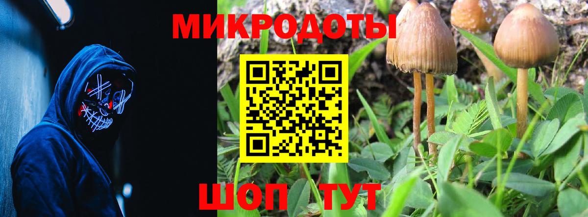 Галлюциногенные грибы ЛСД Михайловск