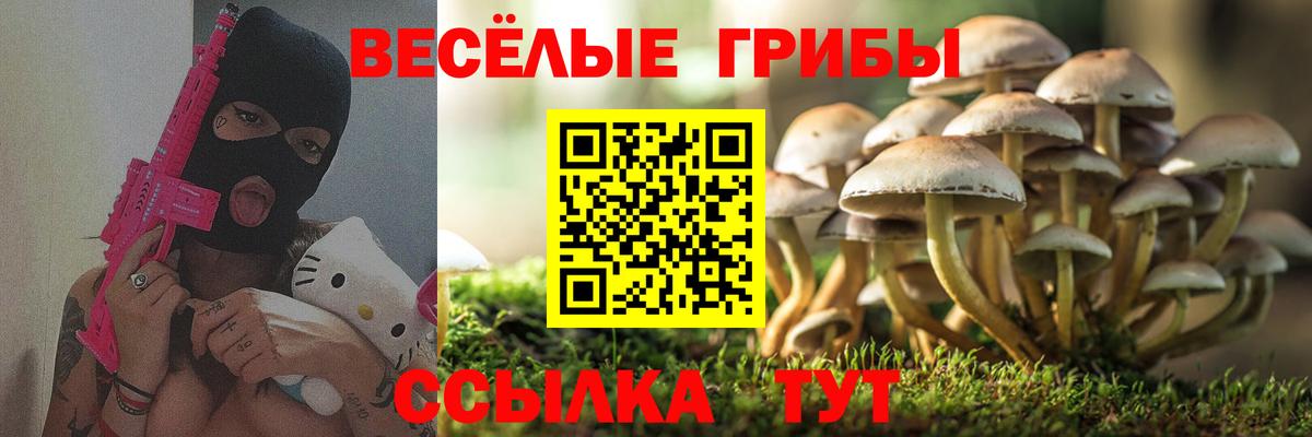 Галлюциногенные грибы Magic Shrooms  Вход с VPN  Михайловск 